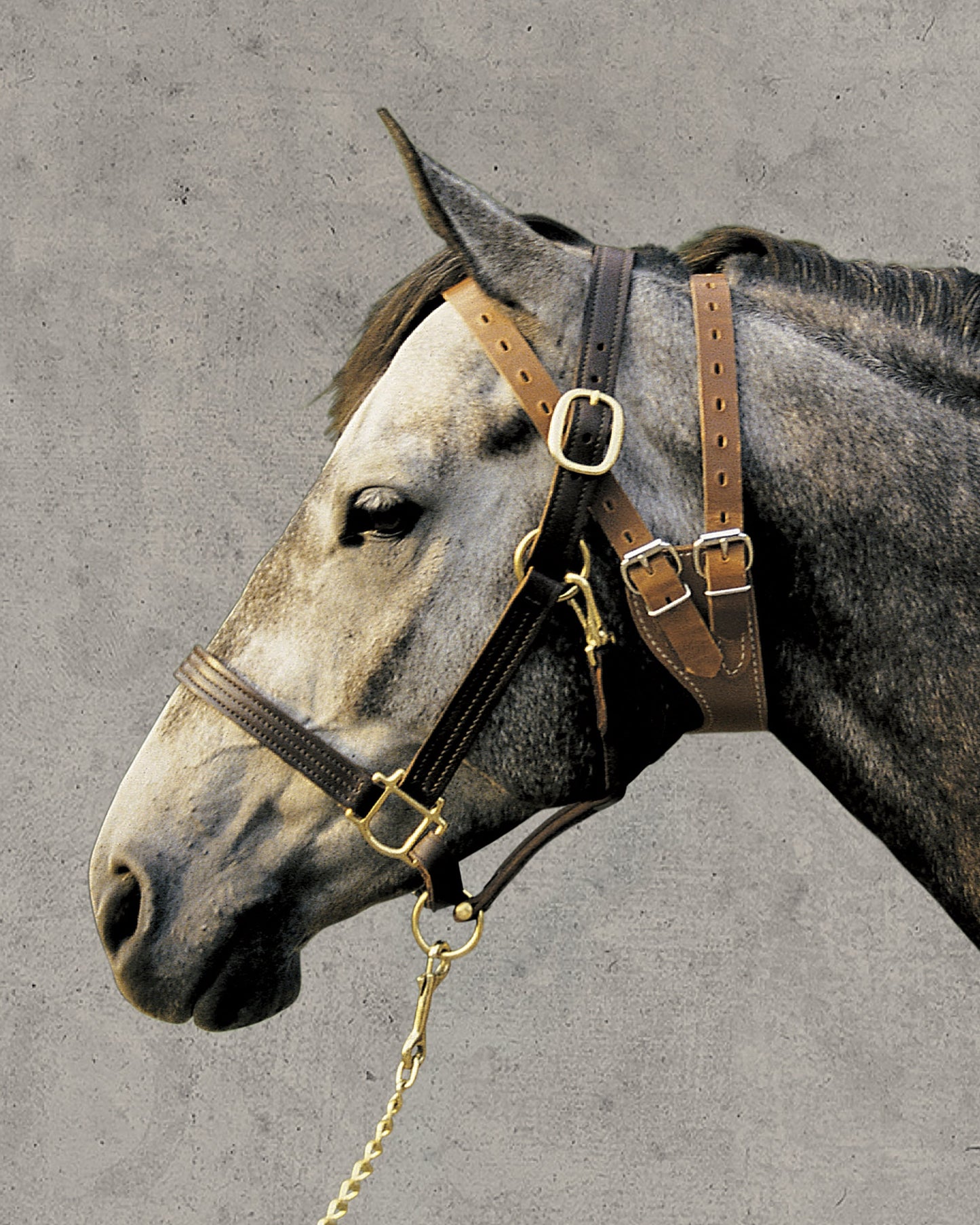 Weaver Leather Miracle Collar