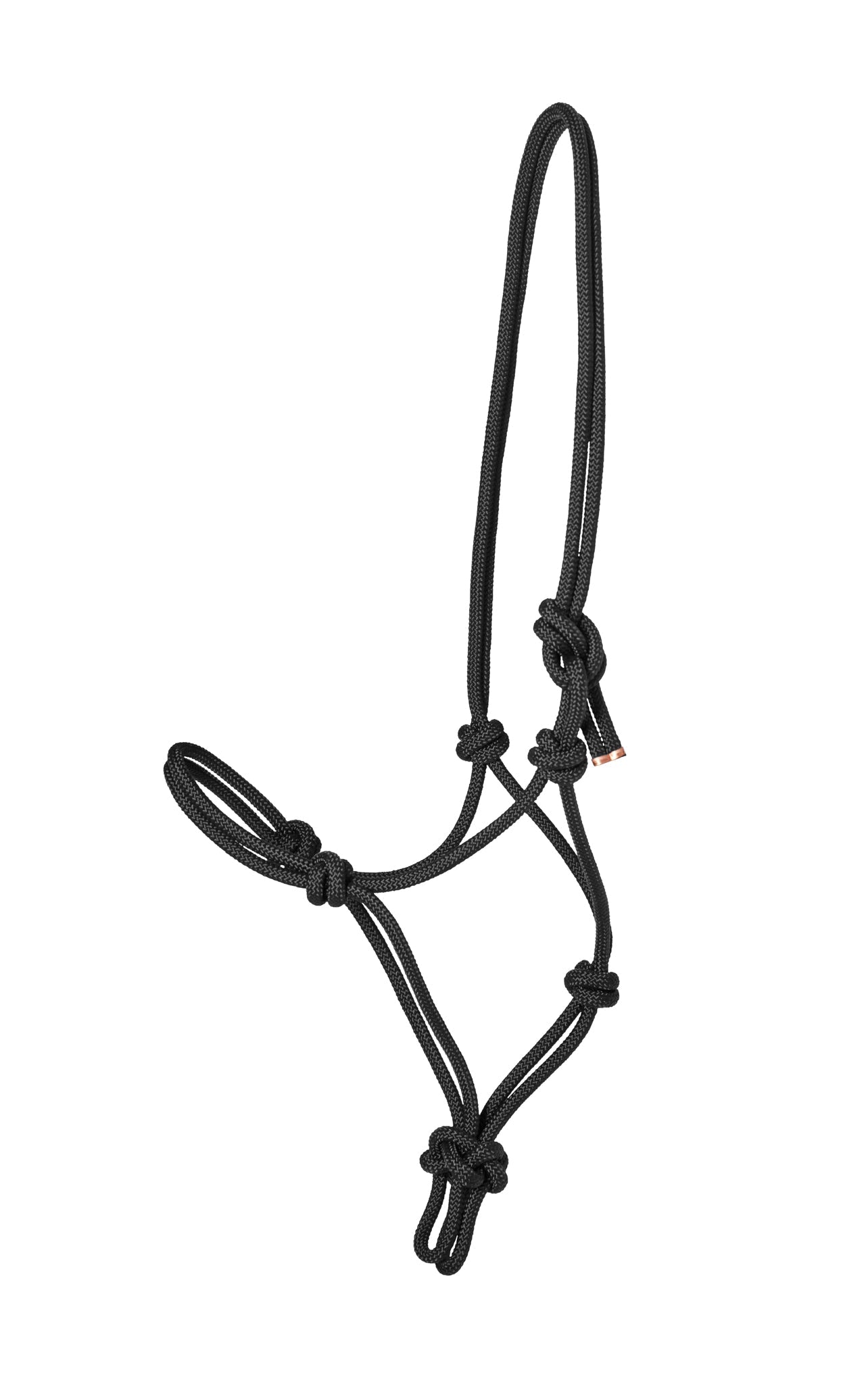 Suffolk Rope Halter with Lead
