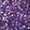 Twinkle Ultra Fine Horse Glitter