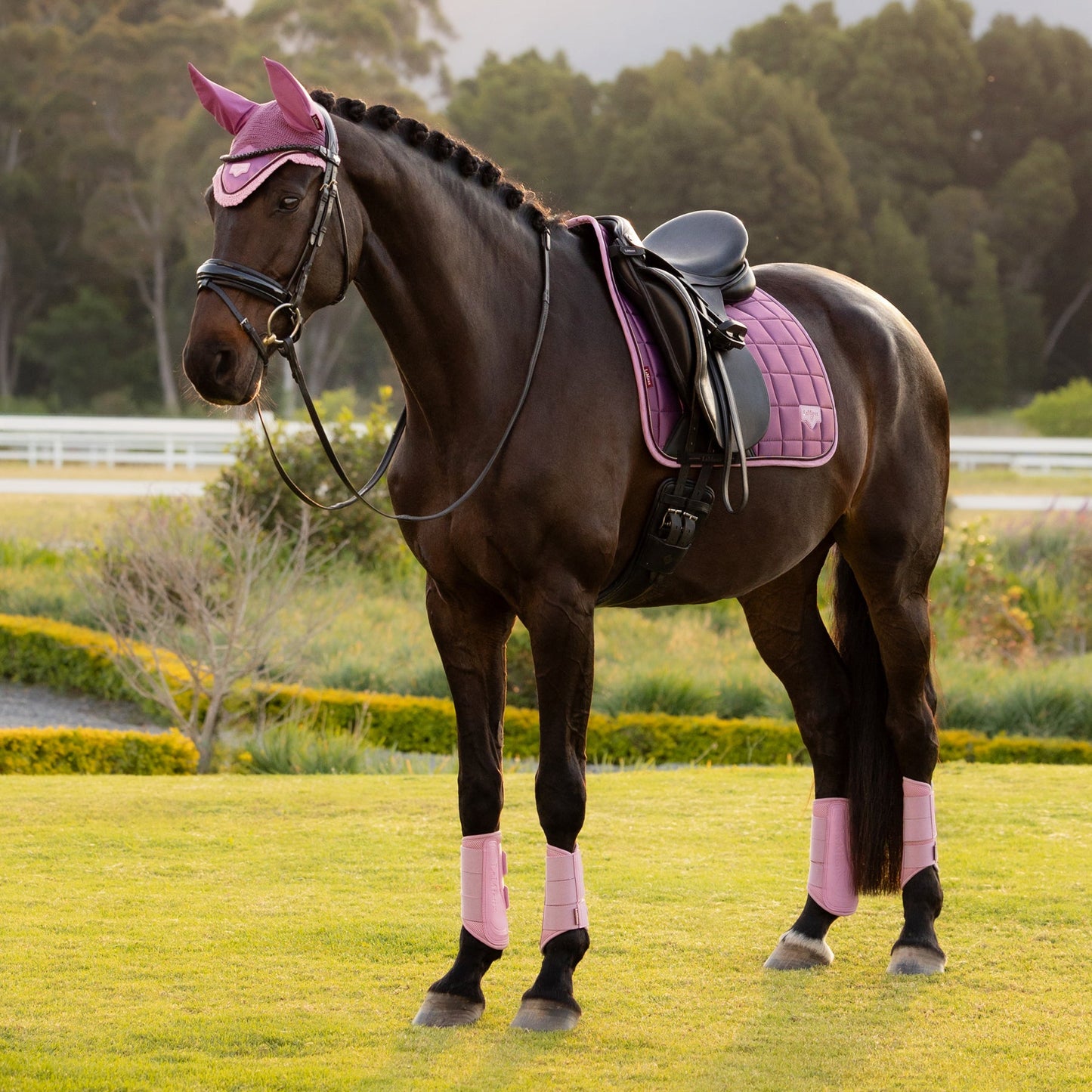 LeMieux Loire Dressage Saddle Pad