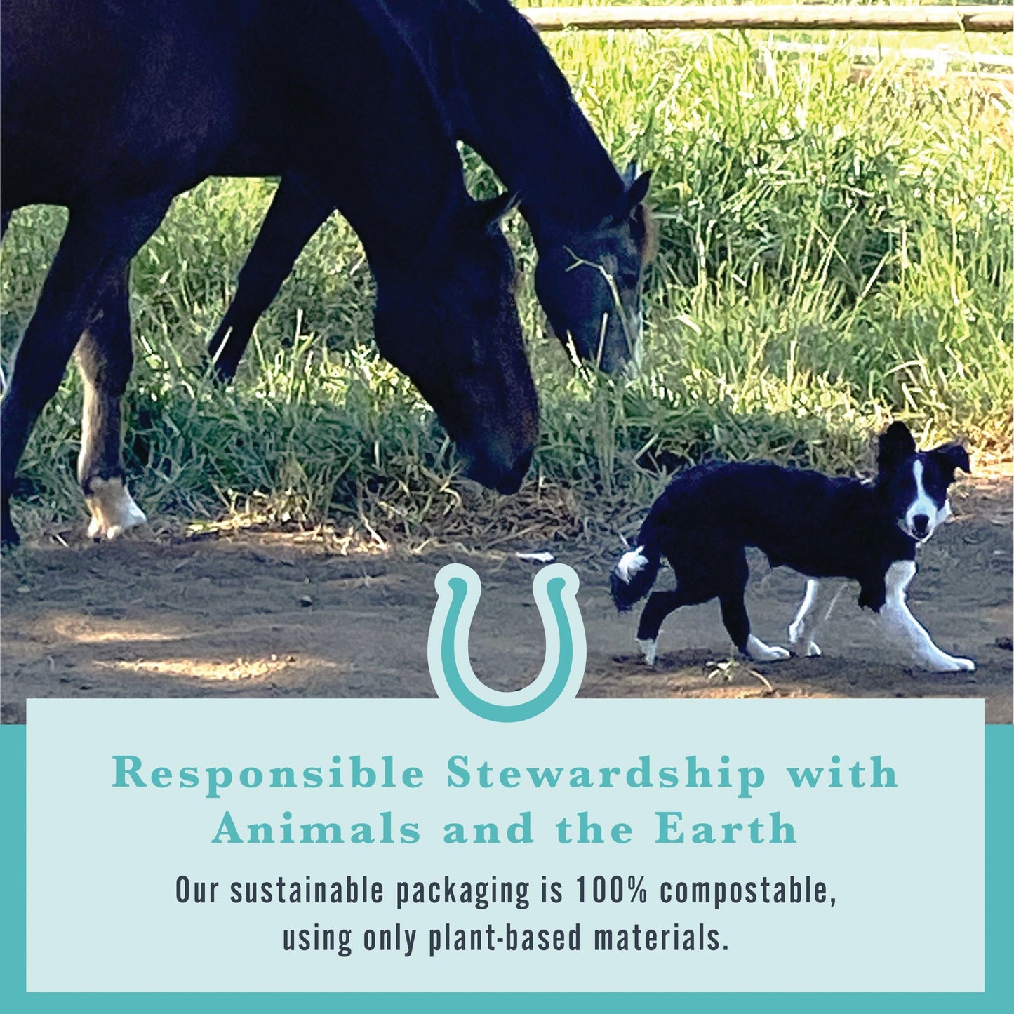 Withers & Withers Sugar-Free Peppermint/Marshmallow Nutra-Treats for Horses