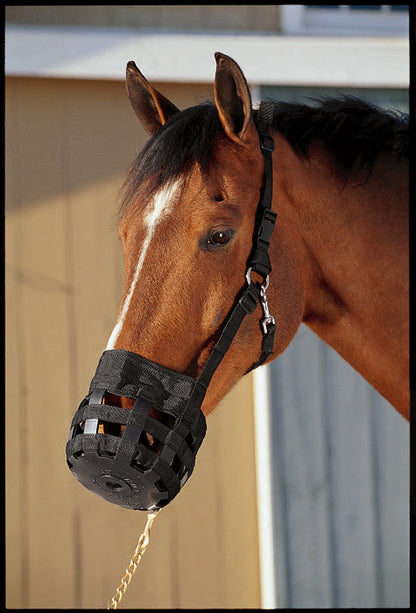Best Friend All-In-One Grazing Muzzle