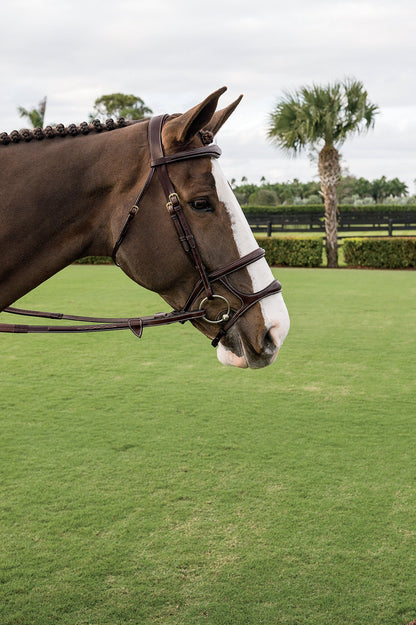Dy'on Double Noseband