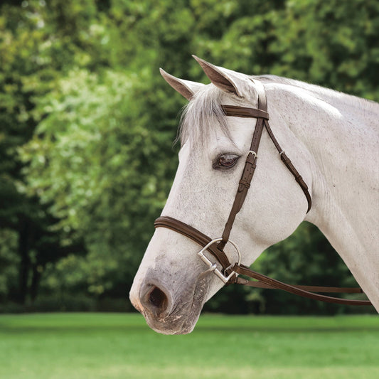 Suffolk Plain Raised Bridle