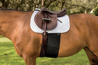 EquiFit BellyBand