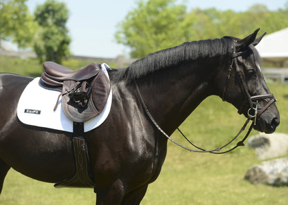 EquiFit Anatomical BellyGuard Girth with SheepsWool T-Foam Liner