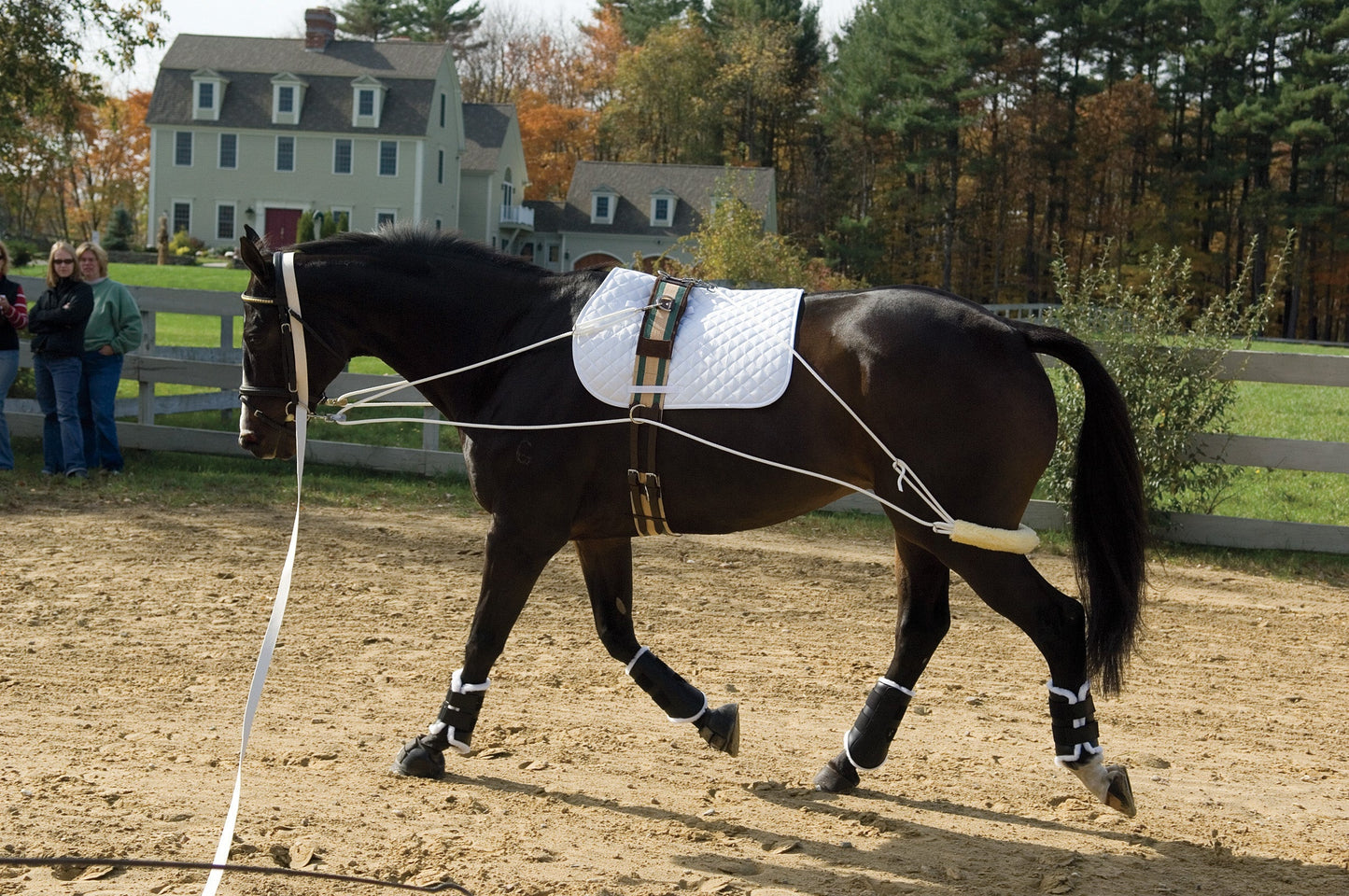 Pessoa Training System