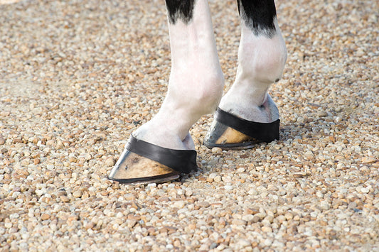 Jack's Grab Boots