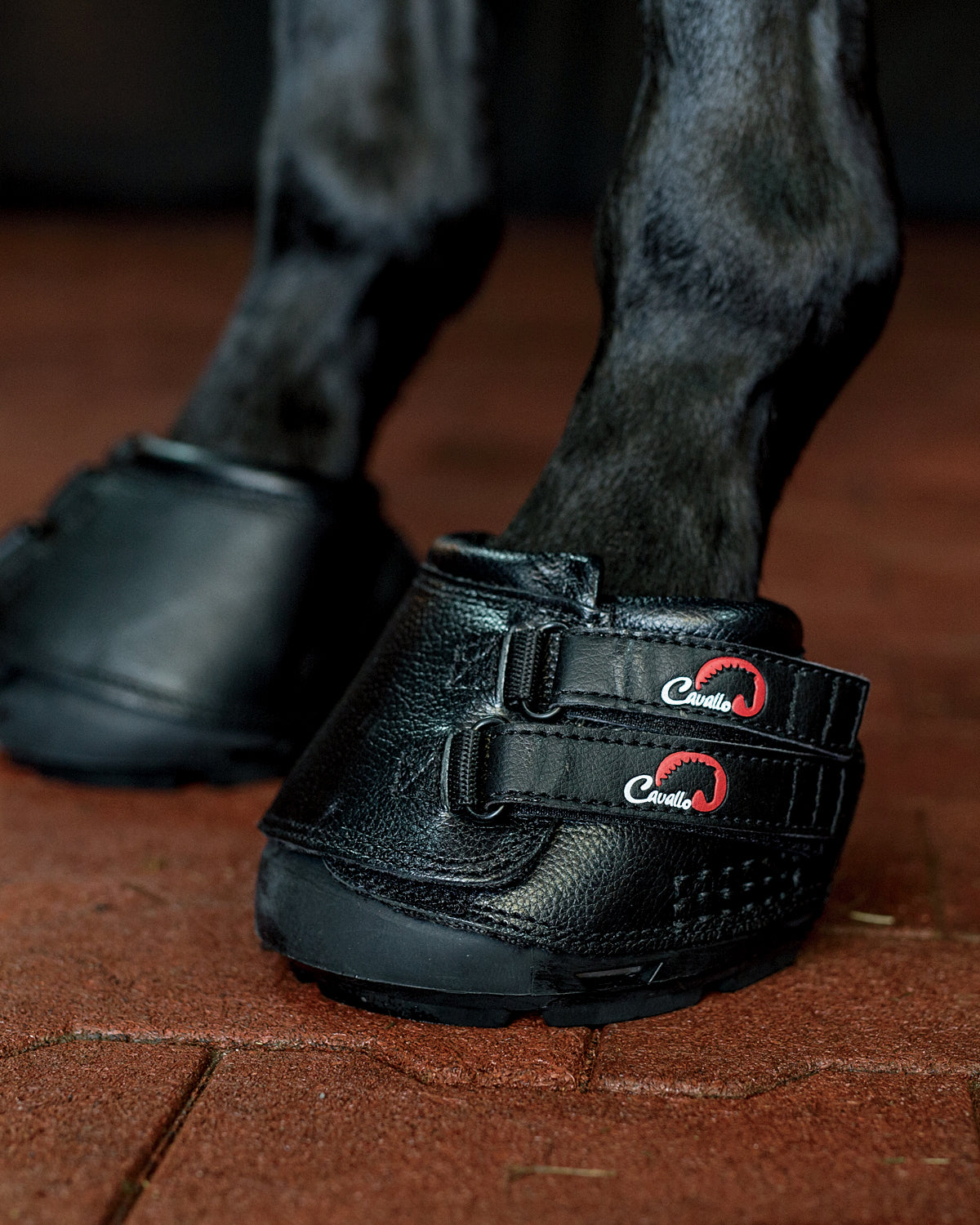 Cavallo Simple Horse Boot