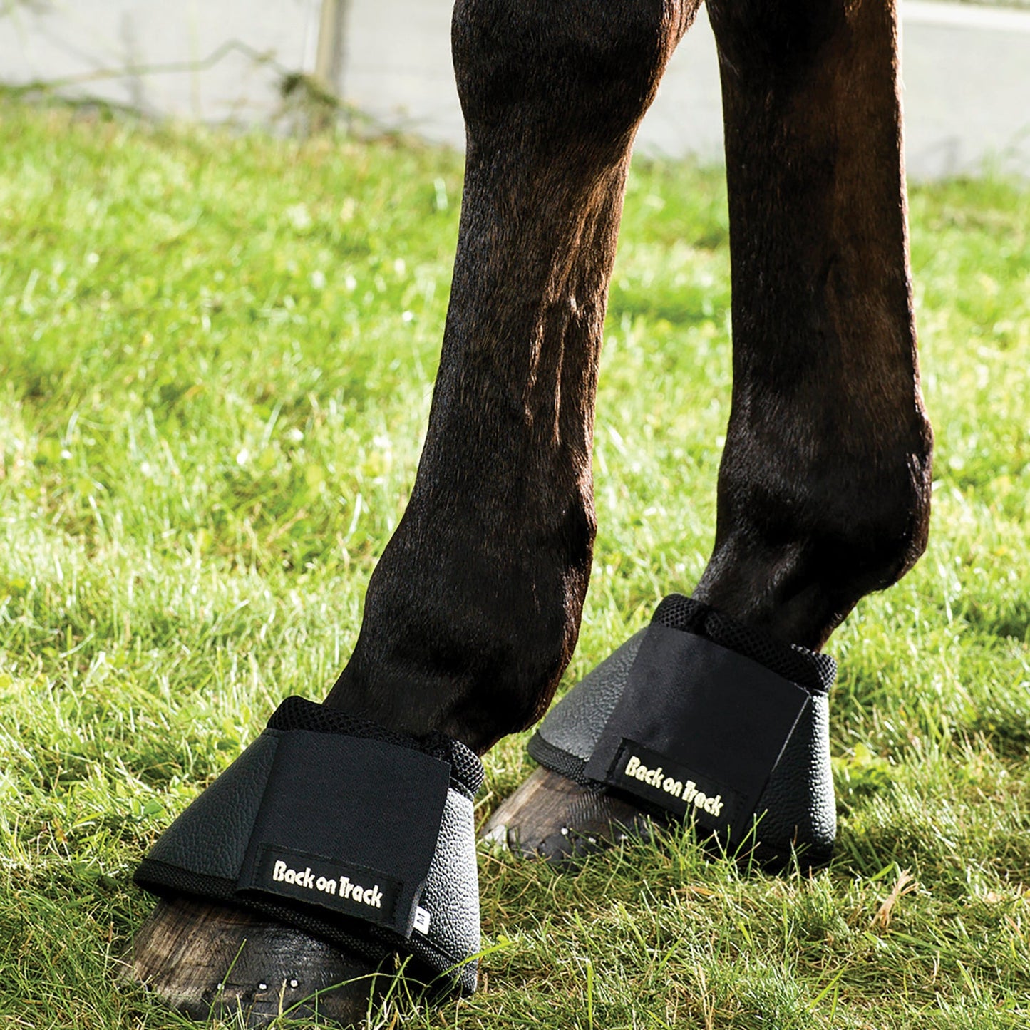 Back on Track Universal Bell Boots