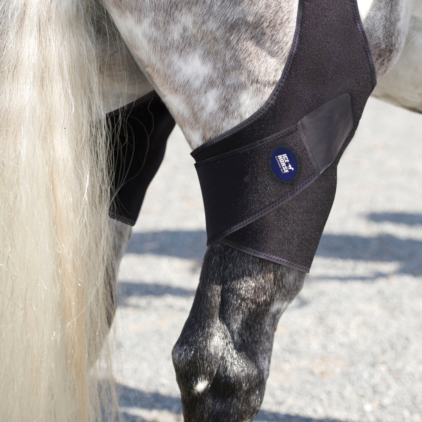 Ice Horse Stifle Wraps