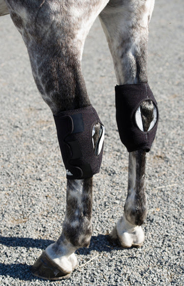Ice Horse Hock Wraps - Pair
