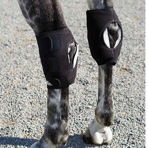 Ice Horse Hock Wrap
