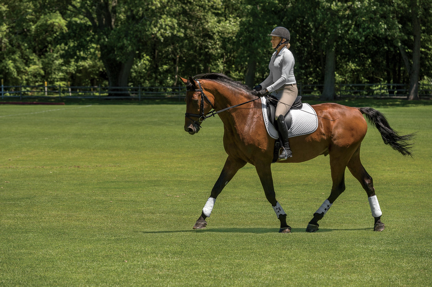 EquiFit MultiTeq Front Boots