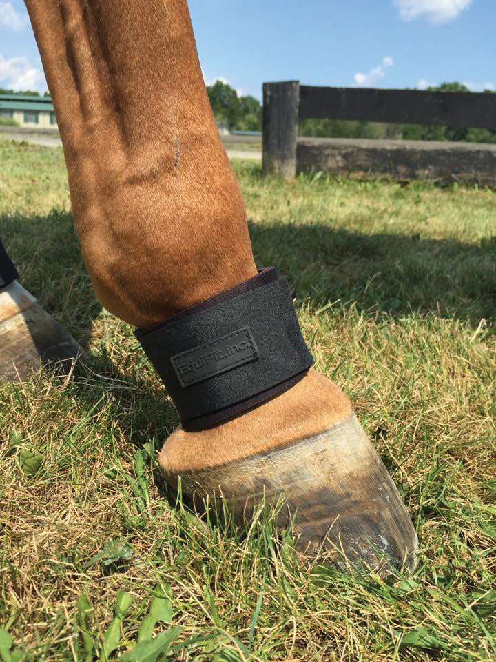 EquiFit Pastern Wrap