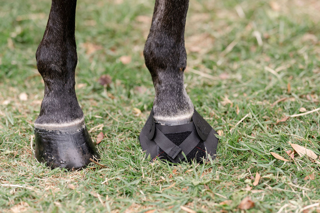 Hoof Wraps Bandage