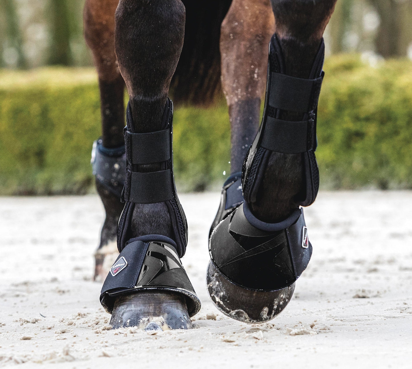 LeMieux ProShell Overreach Boots