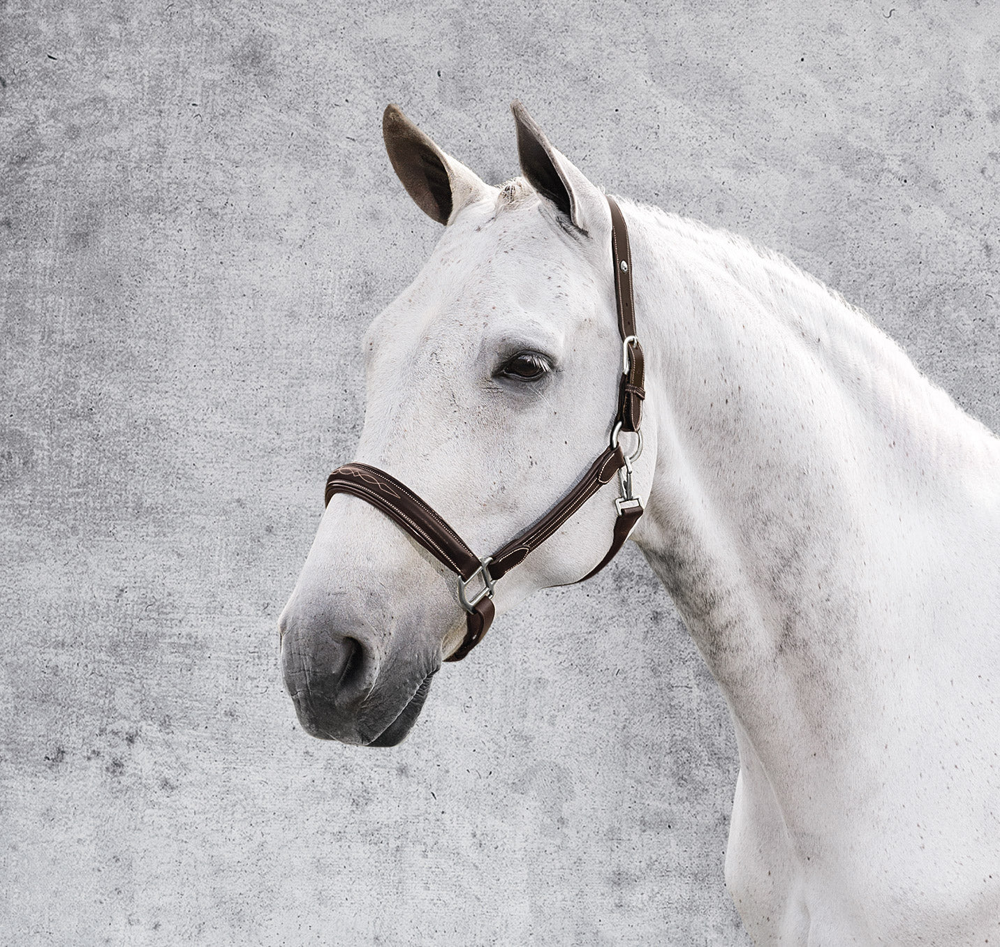 Henri de Rivel Stress Free Halter with Fancy Contrast Stitching