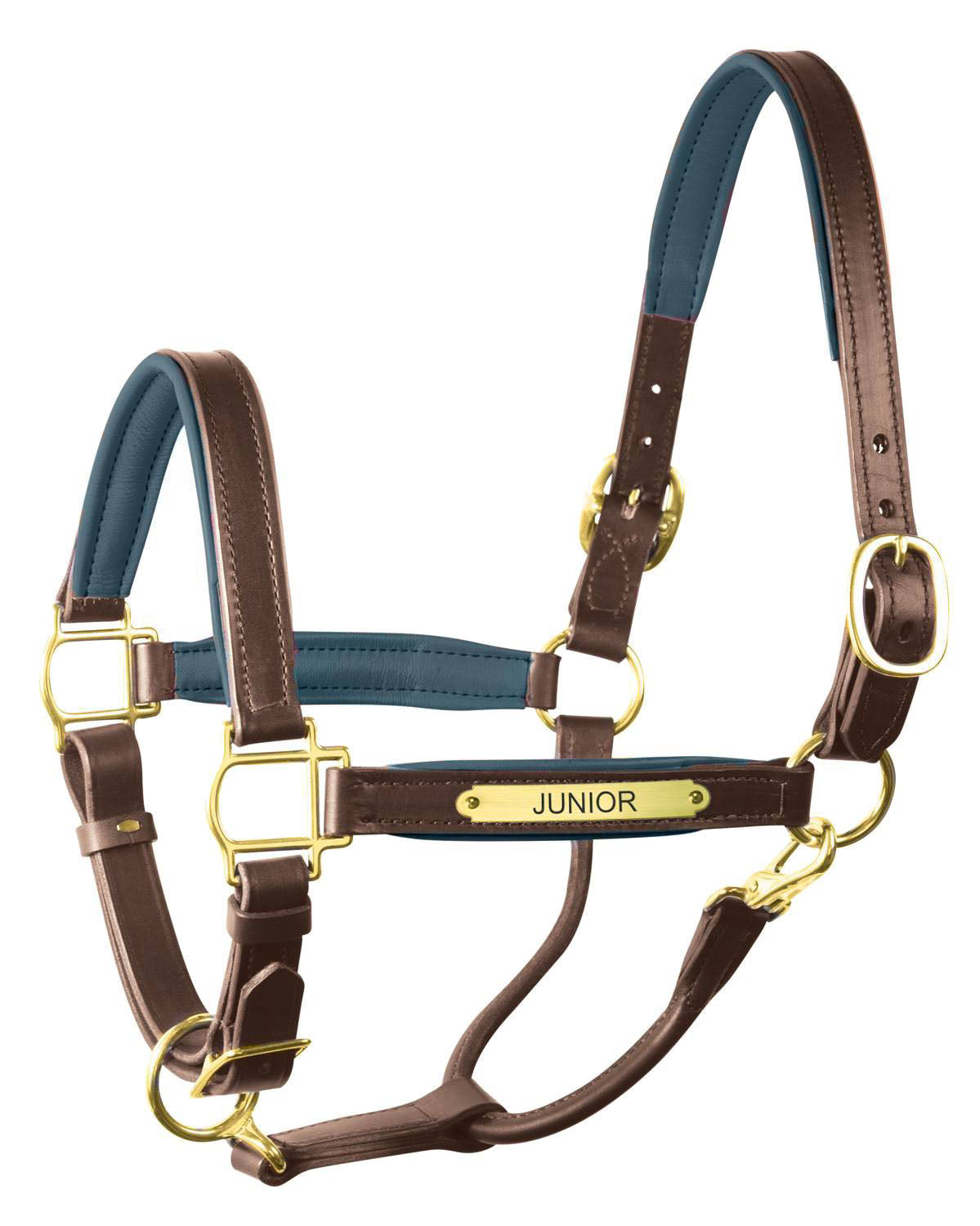 Perri’s 1" Padded Leather Halter