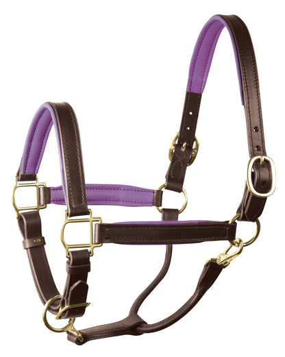 Perri’s 1" Padded Leather Halter