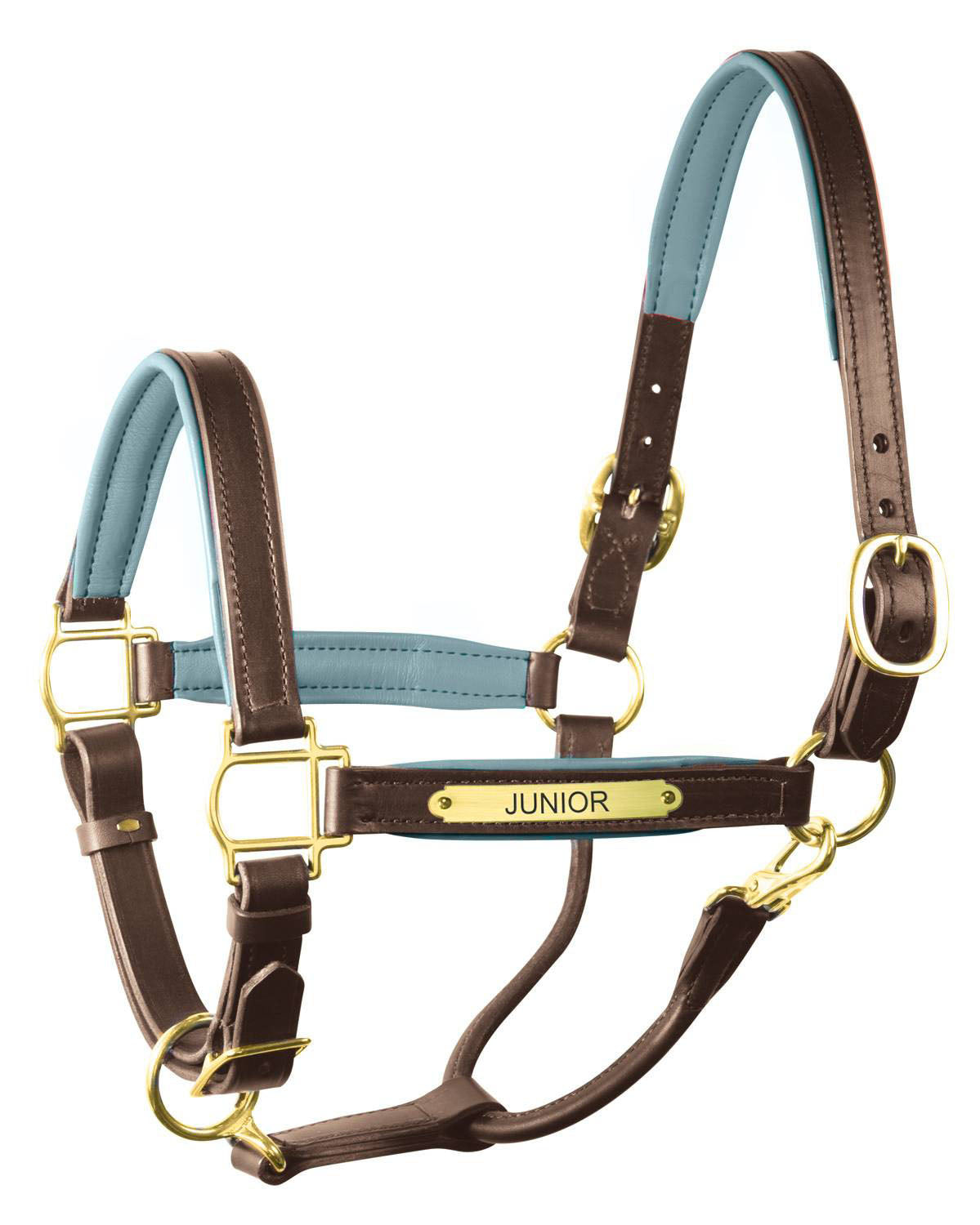 Perri’s 1" Padded Leather Halter