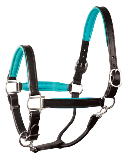 Perri’s 1" Padded Leather Halter
