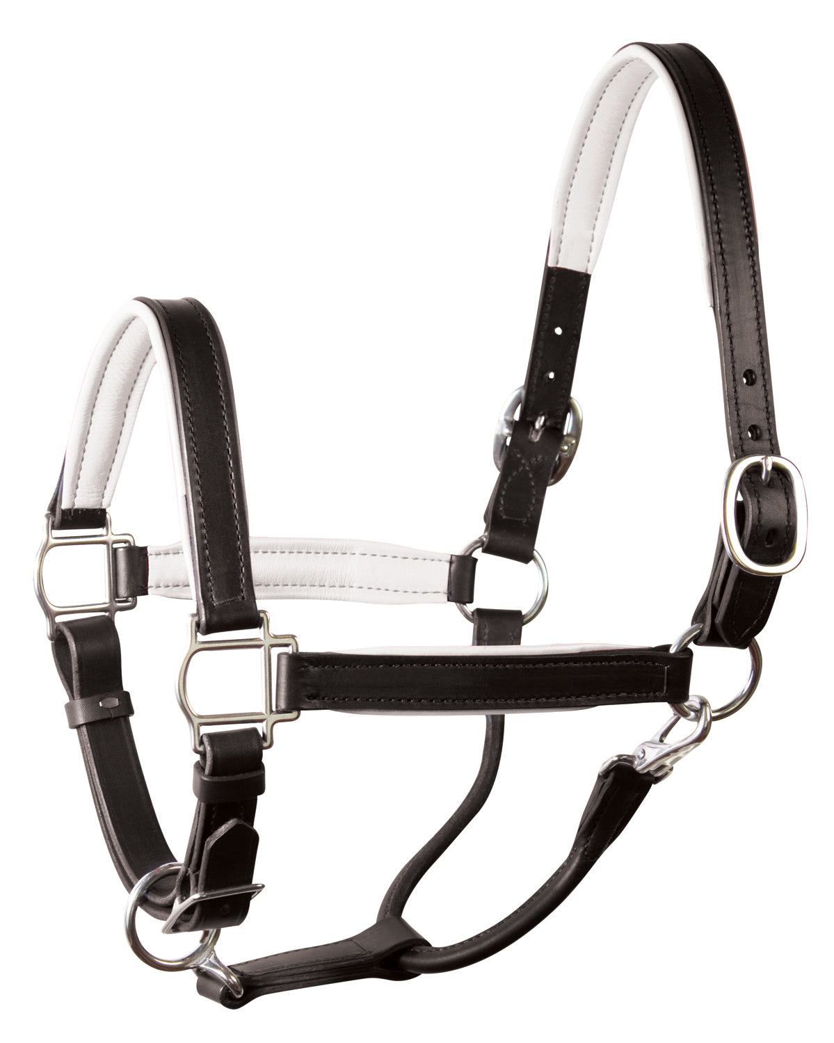 Perri’s 1" Padded Leather Halter