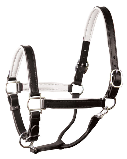 Perri’s 1" Padded Leather Halter