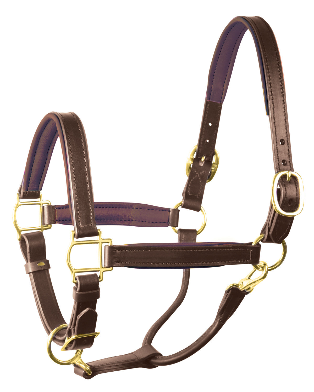Perri’s 1" Padded Leather Halter