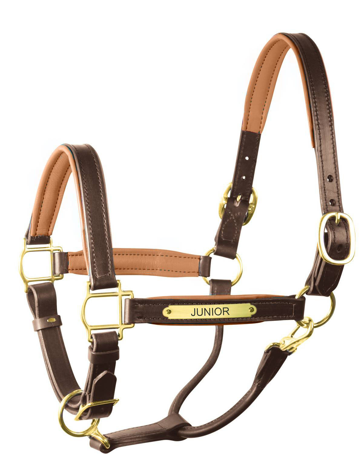 Perri’s 1" Padded Leather Halter