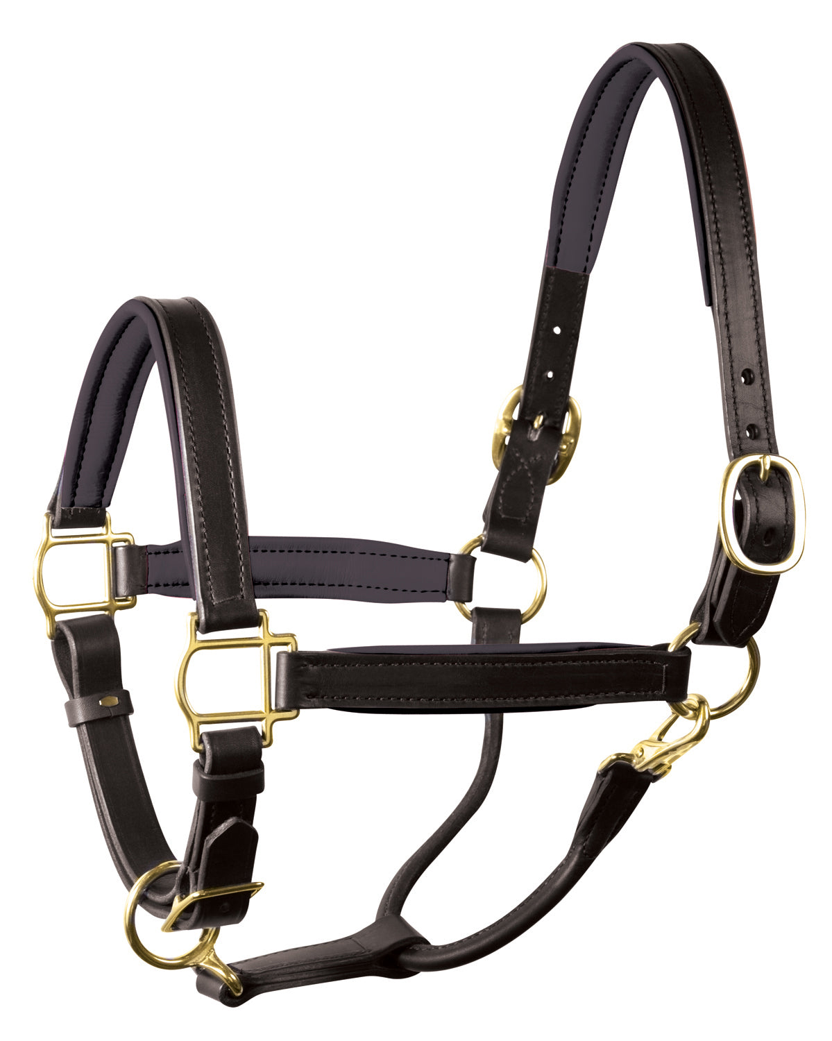 Perri’s 1" Padded Leather Halter