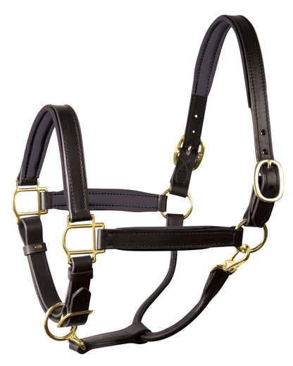 Perri’s 1" Padded Leather Halter