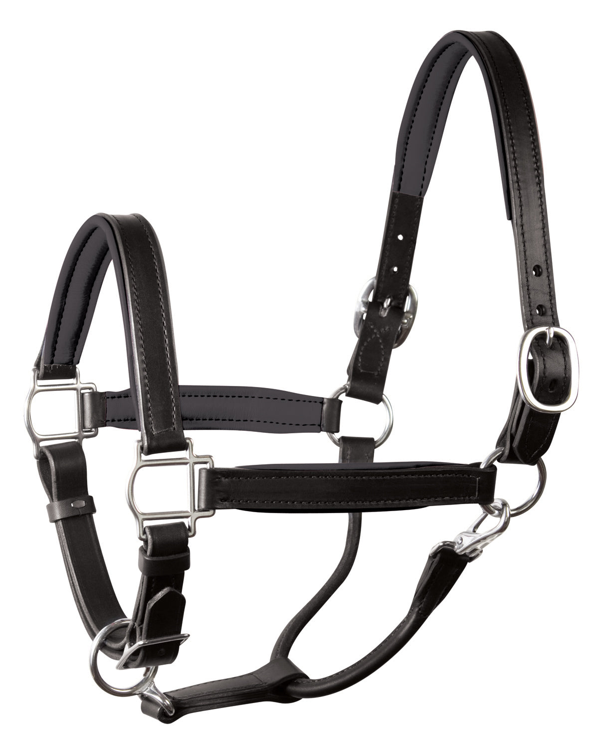 Perri’s 1" Padded Leather Halter