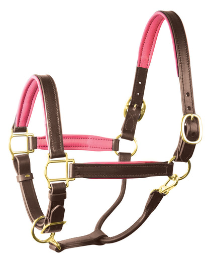 Perri’s 1" Padded Leather Halter