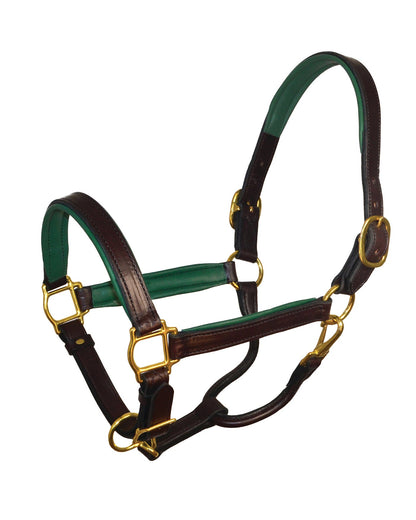 Perri’s 1" Padded Leather Halter