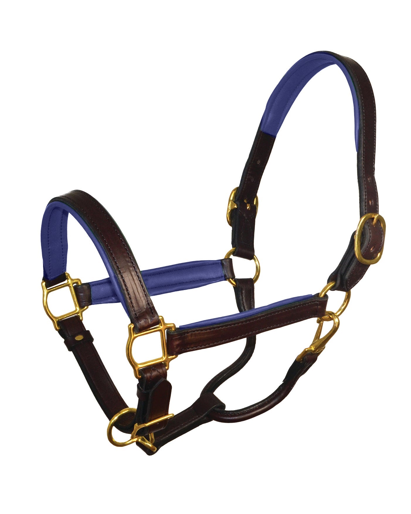 Perri’s 1" Padded Leather Halter