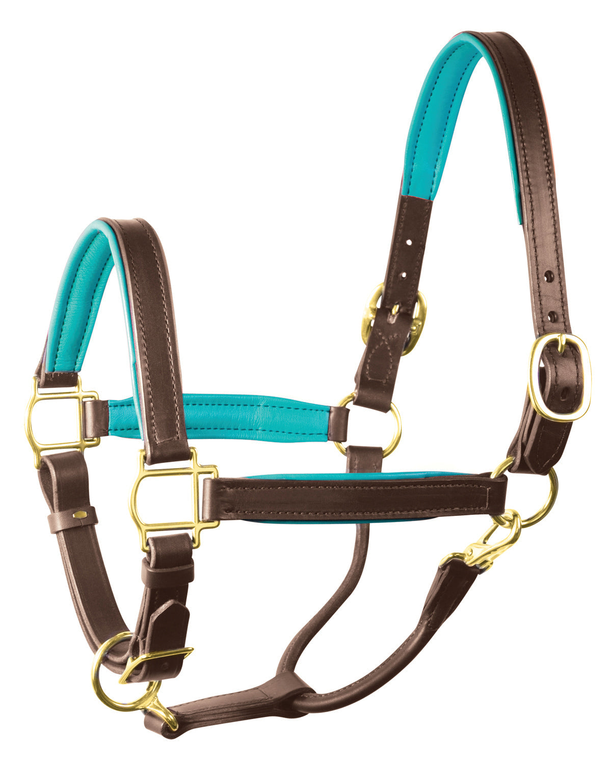 Perri’s 1" Padded Leather Halter
