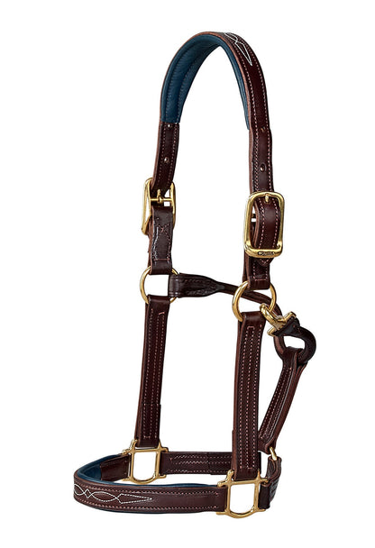 Walsh Signature Padded Halter