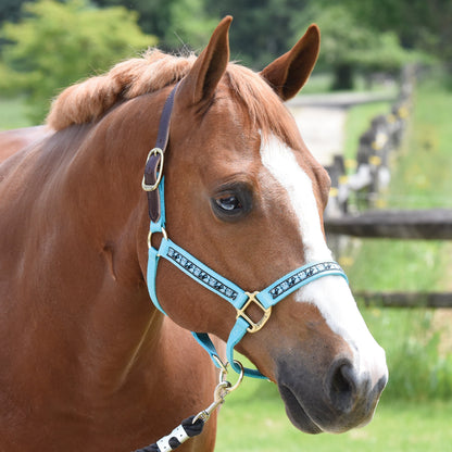 Perri’s Ribbon Trim Breakaway Halter