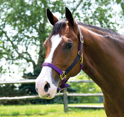 Perri’s Premium Nylon Breakaway Halter
