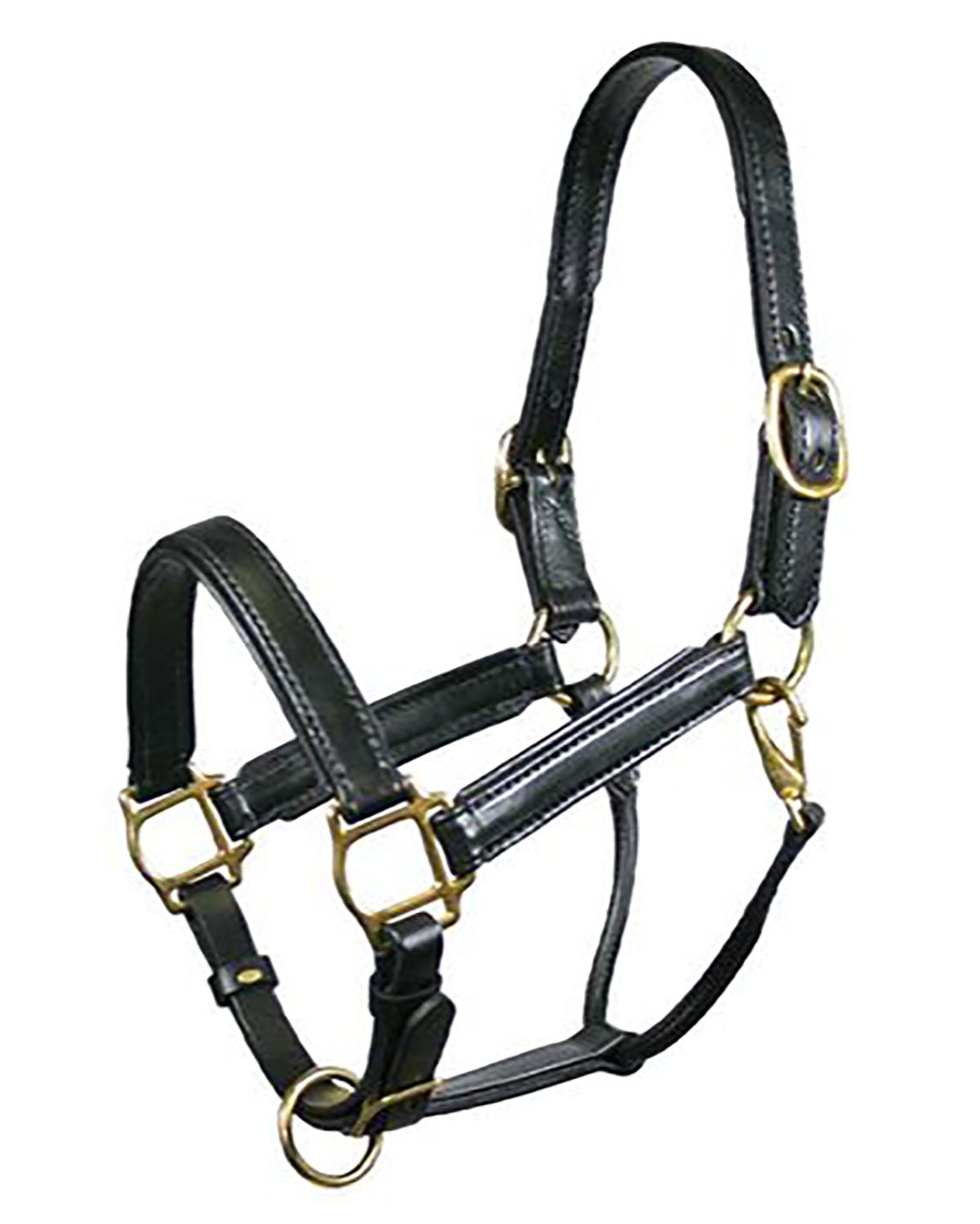 Tory Leather Company Padded Leather Halter