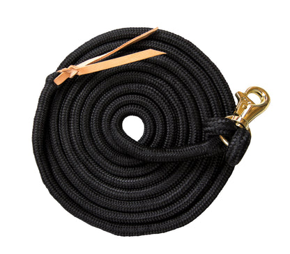 Kensington Clinician Tricolored Training Lead 15'
