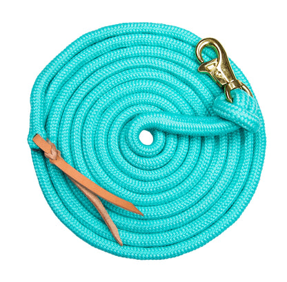 Kensington Clinician Tricolored Training Lead 15'