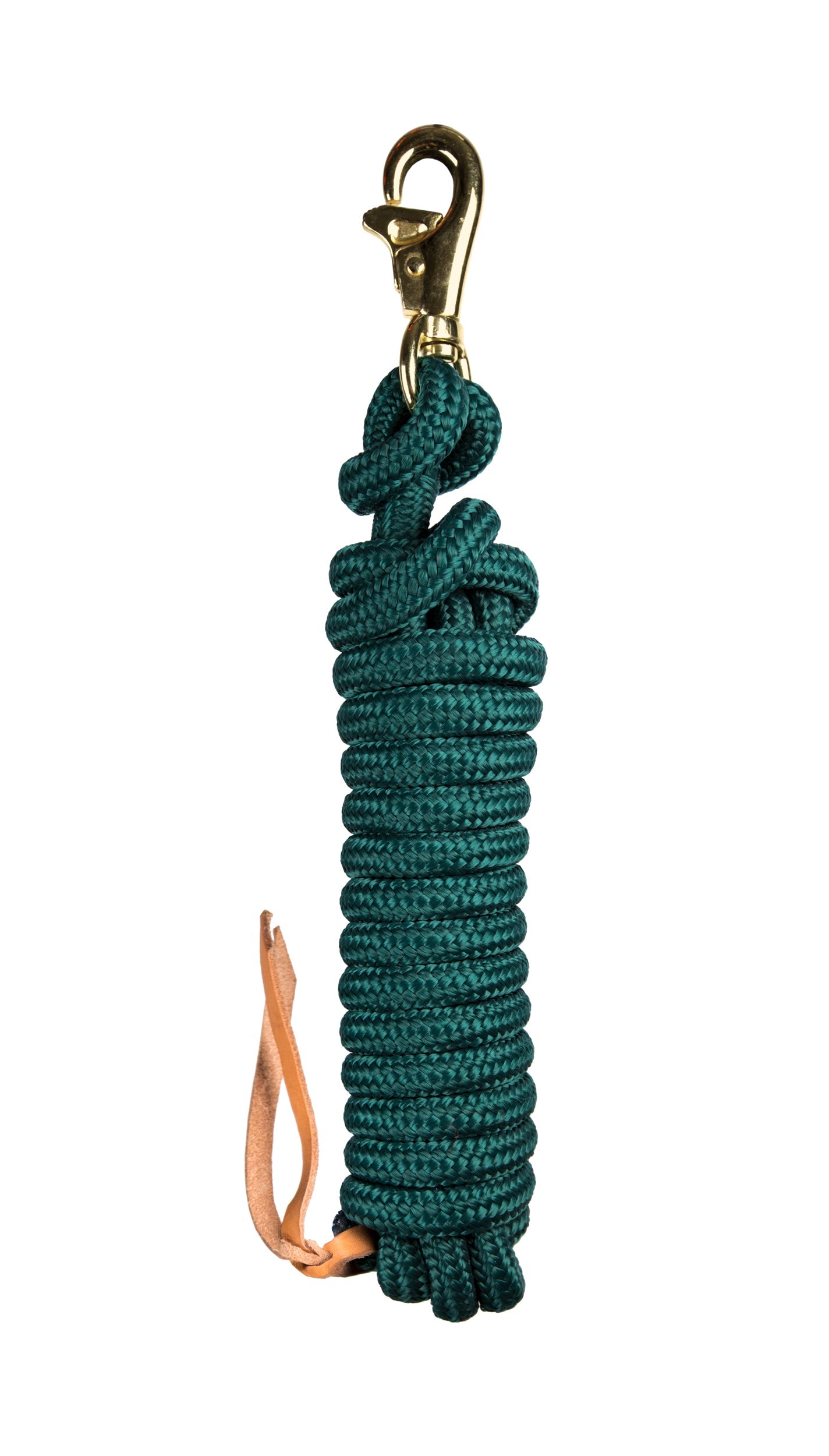 Kensington Clinician Tricolored Training Lead 15'