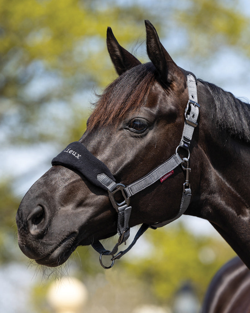 LeMieux Vogue Halter & Rope Lead Set