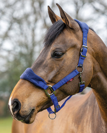 LeMieux Vogue Halter & Rope Lead Set