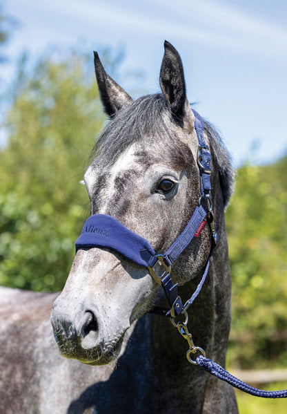LeMieux Vogue Halter & Rope Lead Set