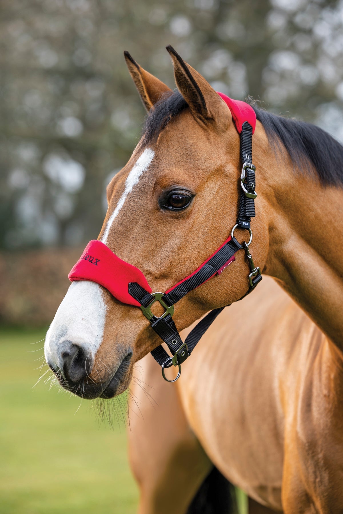 LeMieux Vogue Halter & Rope Lead Set