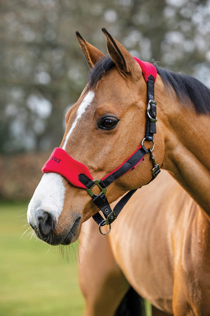 LeMieux Vogue Halter & Rope Lead Set