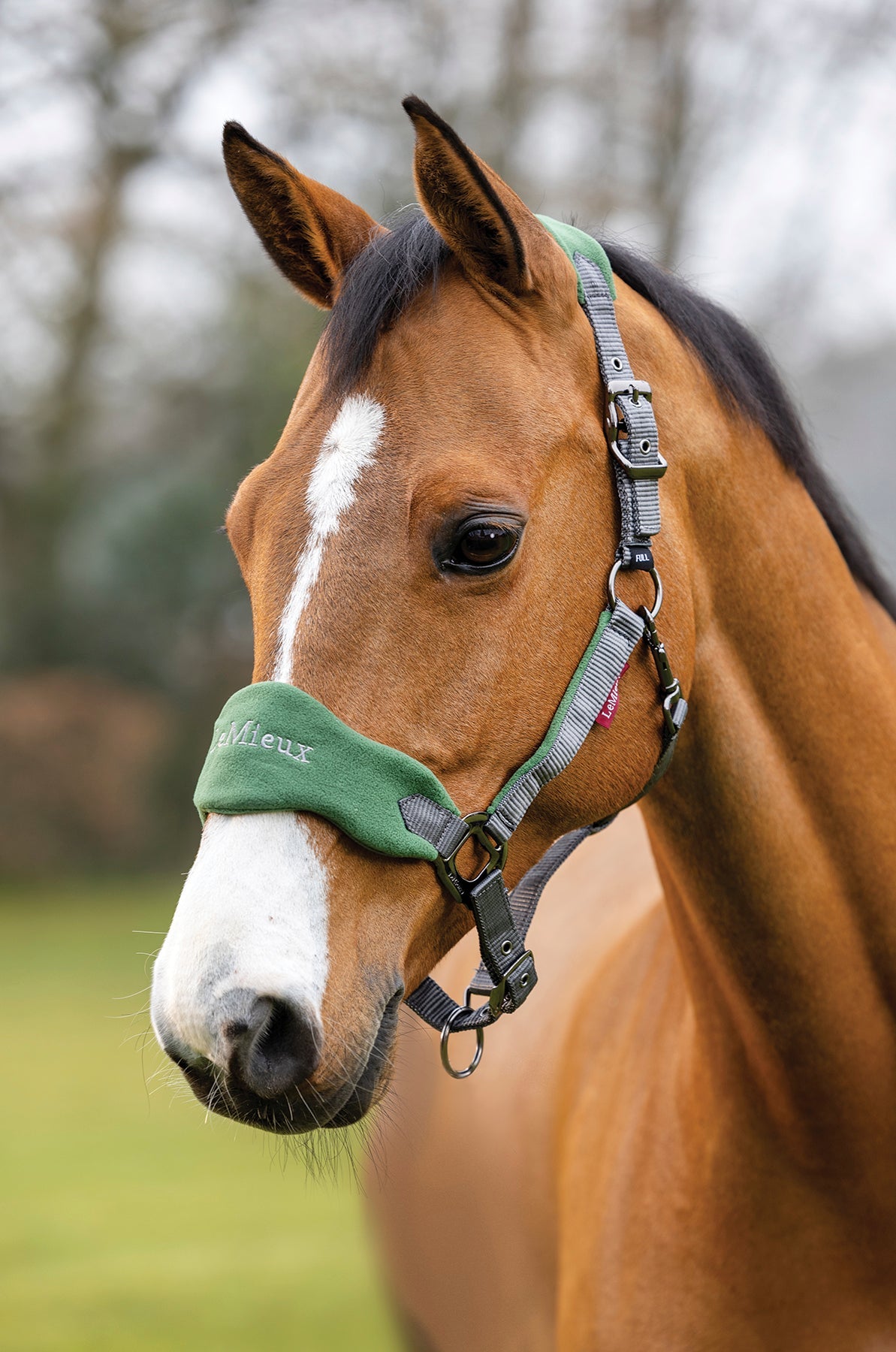 LeMieux Vogue Halter & Rope Lead Set